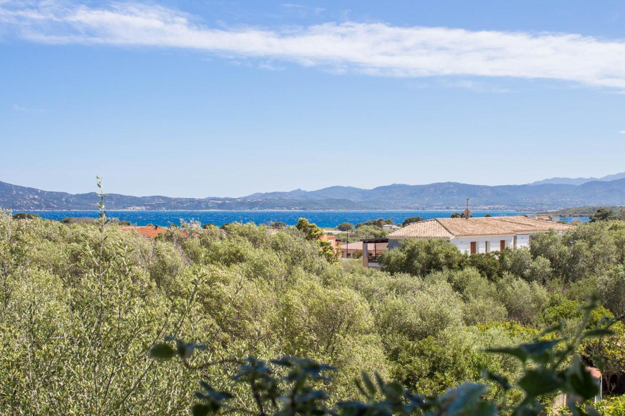 Rovo House, Pittulongu, Olbia, Sardinia Villa Exteriör bild